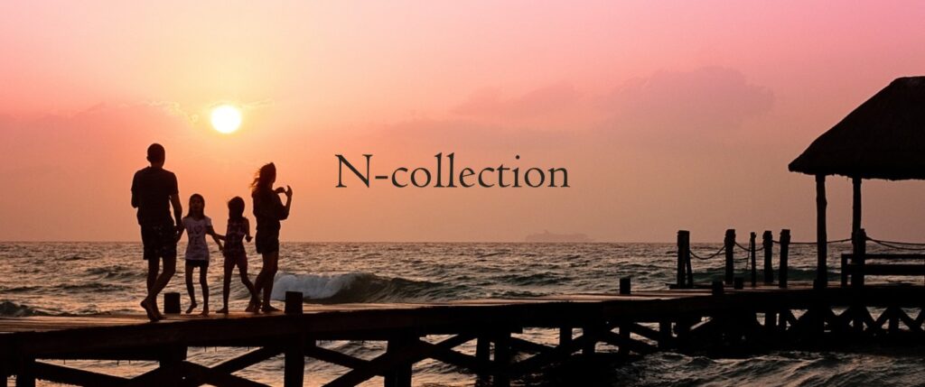 株式会社N-collection