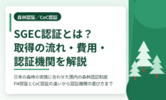 SGEC認証とは？取得の流れ・費用・認証機関をわかりやすく解説
