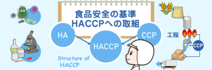 HACCPシステム構築の手順 第1講座 食品安全の基準HACCPへの取組