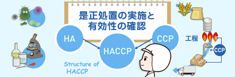 HACCPシステム構築の手順 第10講座 是正処置の実施と有効性の確認