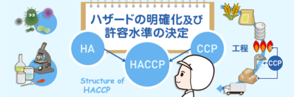 HACCPシステム構築の手順  第5講座 ハザードの明確化及び許容水準の決定
