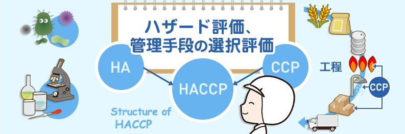 HACCPシステム構築の手順  第6講座 ハザード評価、管理手段の選択評価
