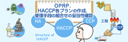 HACCPシステム構築の手順  第7講座 OPRP、HACCP各プランの作成、管理手段の組合せの妥当性確認