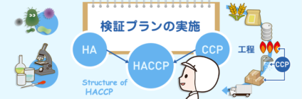 HACCPシステム構築の手順  第8講座 検証プランの実施