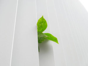 【ISO14001】著しい環境側面はどのように決定すれば良い?